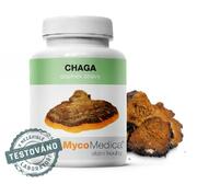 CHAGA (Rezavec šikmý)